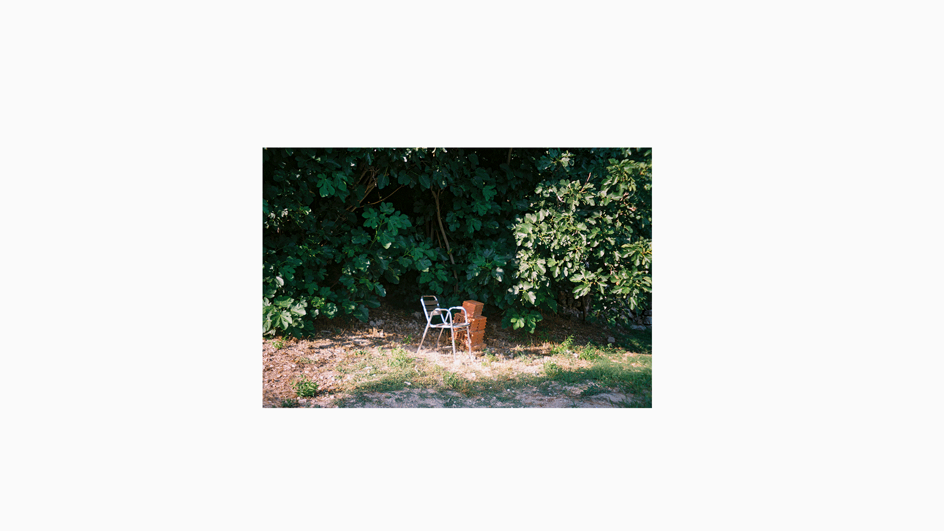 Perosonal photography — Photography